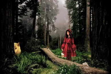 Little Red Riding Hood By Justaye On DeviantArt