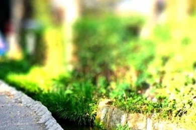 Nature Tilt Shift Mobile Wallpapers Mobiles Wall