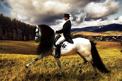 Horse Dressage Wallpaper Images