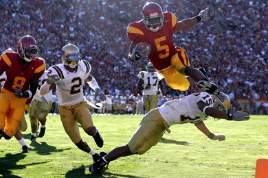Reggie Bush USC Legacy