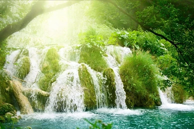 Waterfall And Lake Landscape Wallpapers Free Green Tree Waterfall ...