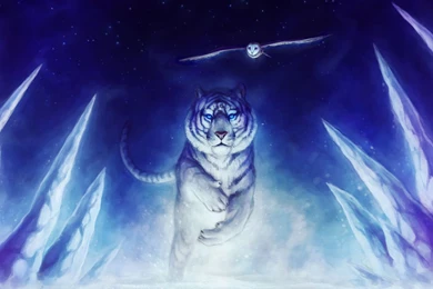 194 White Tiger HD Wallpapers