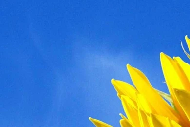 High Quality Mobile Wallpapers Wallpapers Zone