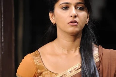 Hot Photos > Anushka in saree > ANUSHKA IN SAREE NEW IMAGES ...
