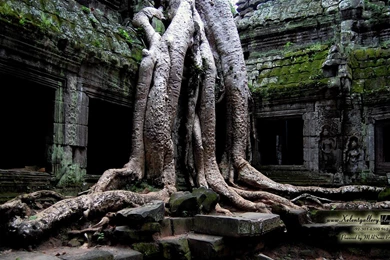 Abstract Wallpapers Pack 1080P