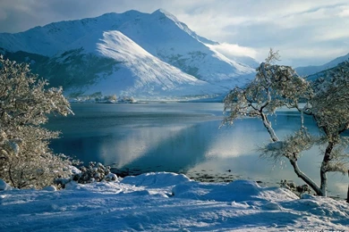 Winter Season 1024x768 High Resolution Wallpapers