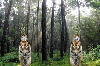 Tiger Forest By Liablack On DeviantArt