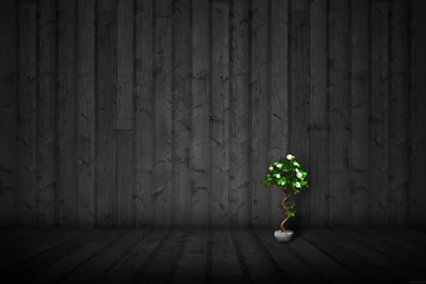 Wood Wallpapers Wallpapers Cave