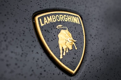 Lamborghini Logo Wallpapers Collection (34+)