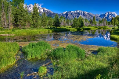 Wallpapers For Computer Desktop Wallpapers Cave