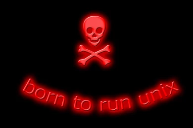 Wallpapers Unix 1024x768