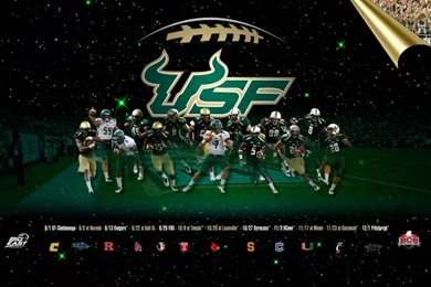 GoUSFBulls.com 2012 13 Wallpapers GoUSFBulls.com—Official ...