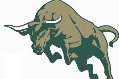 Bull Logo ClipArt Best