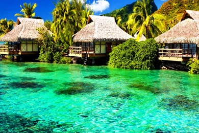 Windows Desktop Backgrounds Scenes Free Download HD Widescreen ...