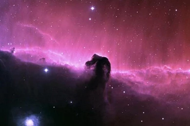 Wallpapers Sony Xperia Z4 Quad Hd Black Grapes 1440 2560 395 1440 ...